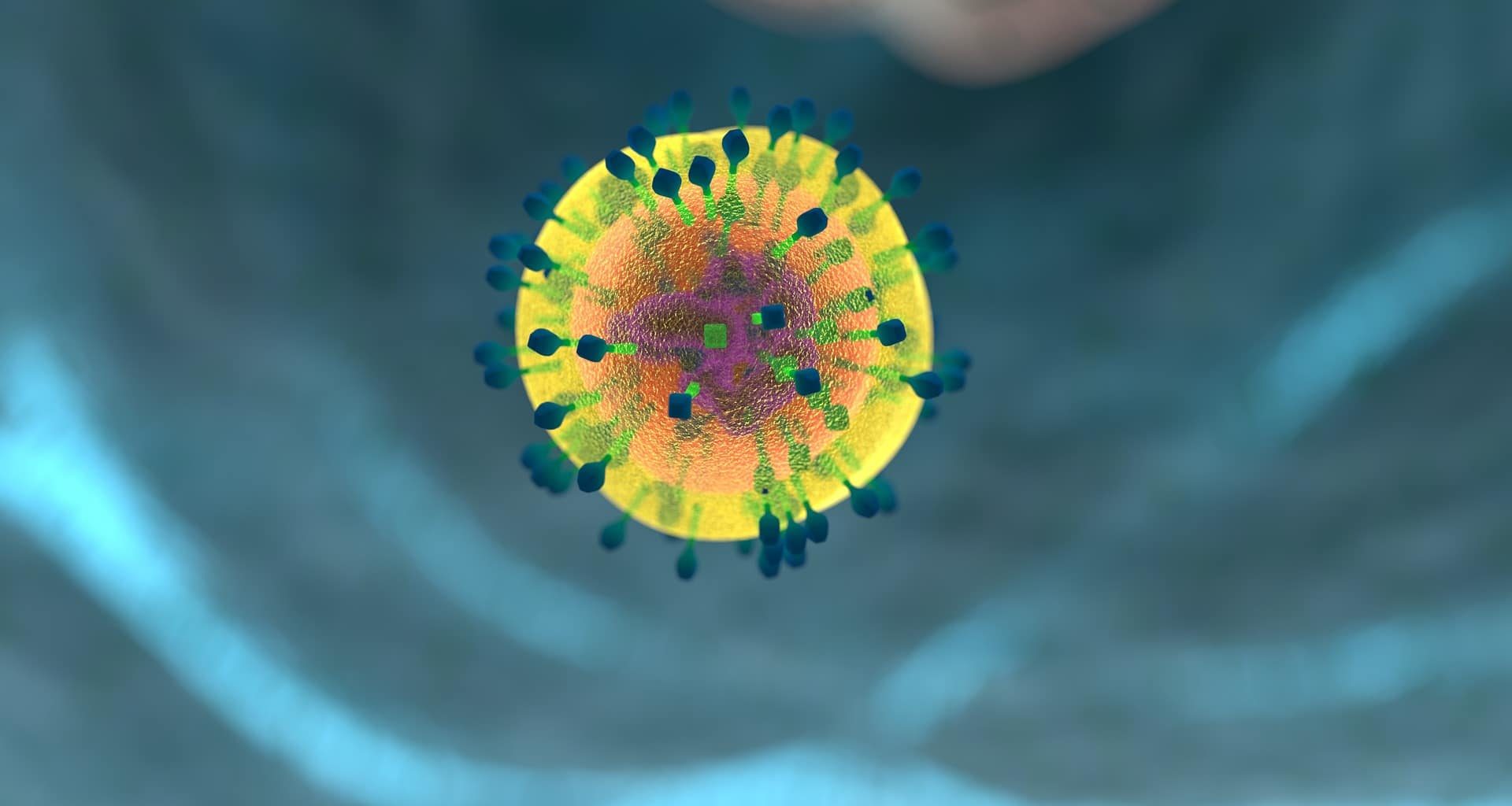 Sistema Imunológico: o que é, como fortalecer?