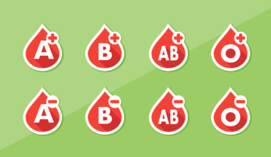 Tipos sanguíneos: saiba as classificações, doadores, receptores e mais!