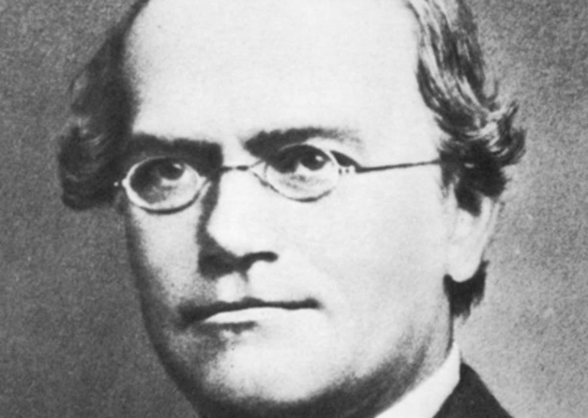 Gregor Mendel: quem foi, biografia e mais!