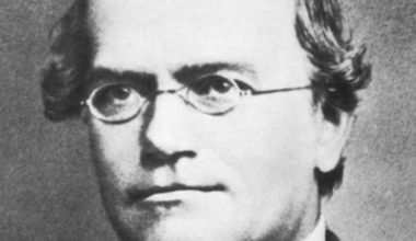 Gregor Mendel: quem foi, biografia e mais!