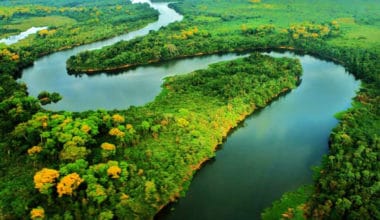 Amazônia: tudo o que você precisa saber sobre esse bioma brasileiro