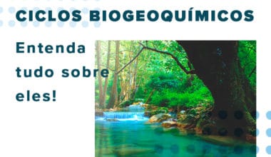 Ciclos biogeoquímicos: entenda tudo sobre eles!