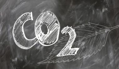 Ciclo do Carbono: entenda todas as etapas!