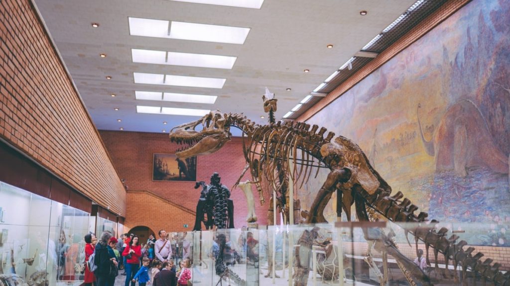 esqueleto de dinossauro paleontologia