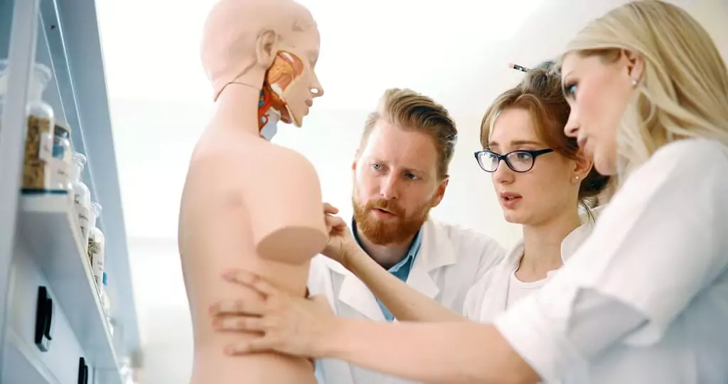 estudantes de medicina com boneco do corpo humano